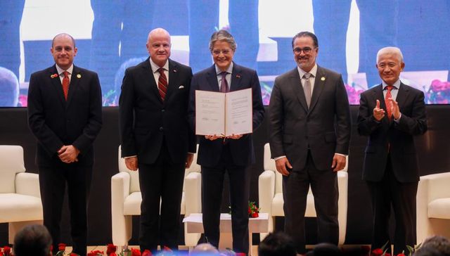 Bananas por arrolladitos