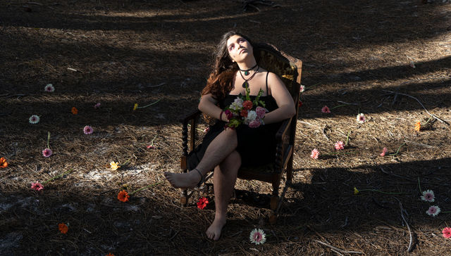 Pétalos y más pétalos