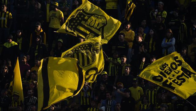 Conectividad oro y carbón