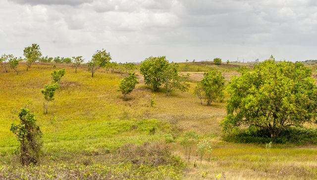 Por The New York Times