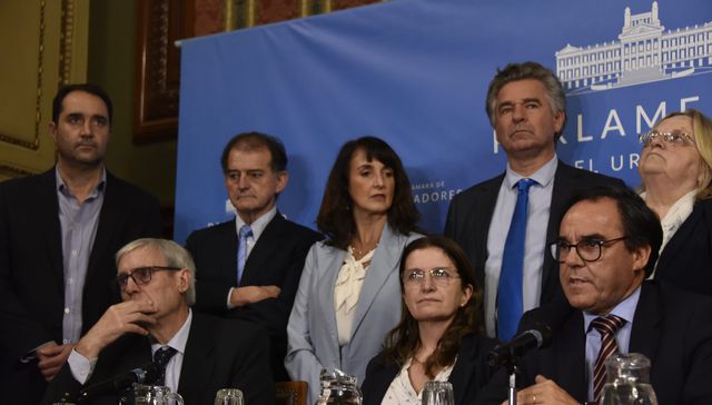 Muy bueno sote