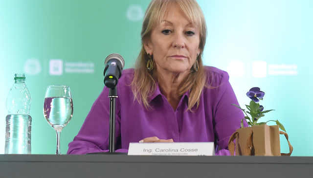 Agua que no has de beber