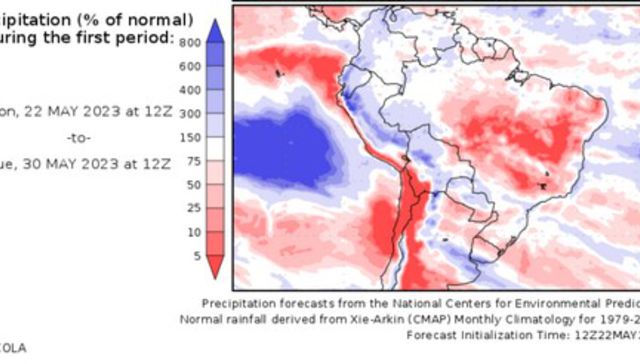 Escribe Eduardo Blasina