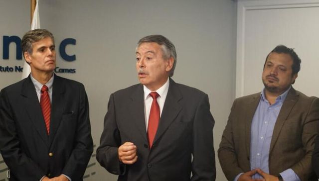 Por el camino del pasto