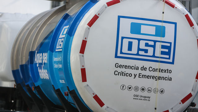 Escribe Liliam Kechichian