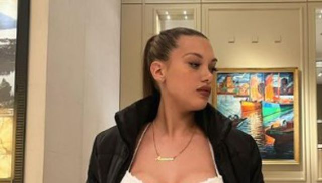 El perrito se fue de casa