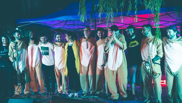 Nerd-bailable-canino