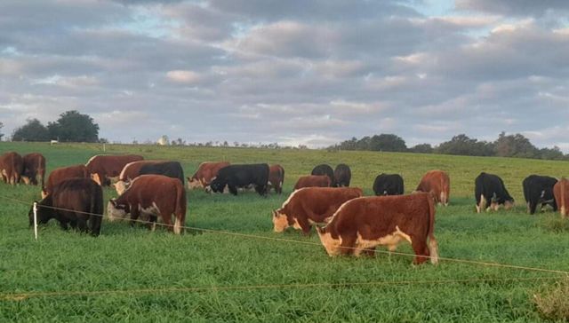 La peor combinación