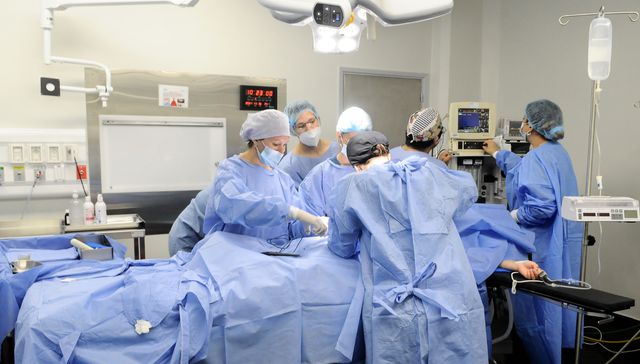 Sobrellevar los males