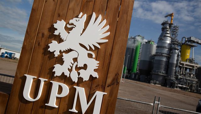 Solo peces muertos hay