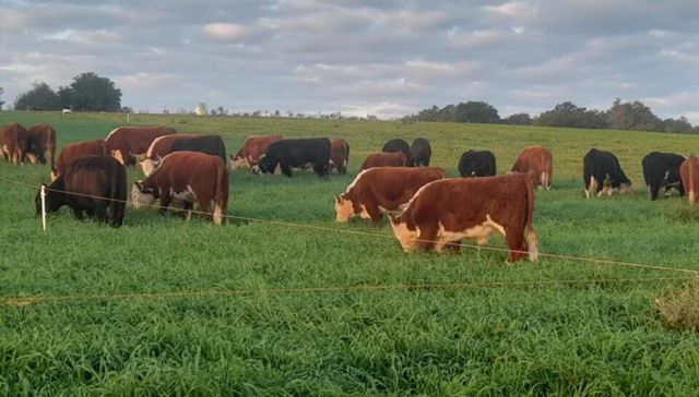 La peor combinación