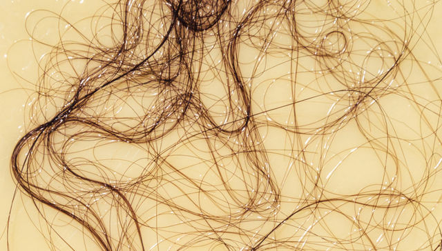 Por The New York Times