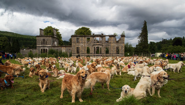 Por The New York Times