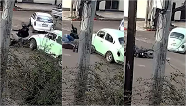 El gusano del escarabajo