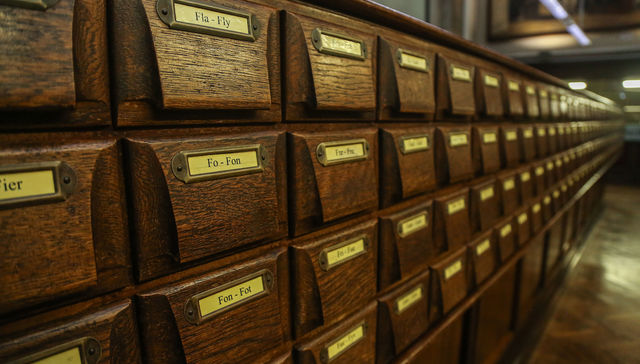 Vuelta a las raíces