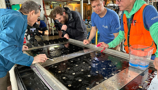 Por The New York Times