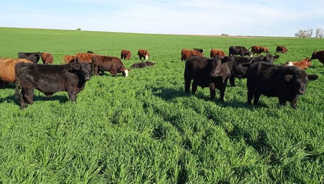 Lo ganado y lo perdido