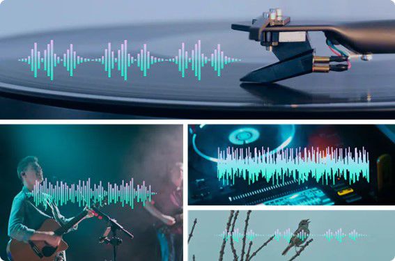 Foto cedida a Montevideo Portal