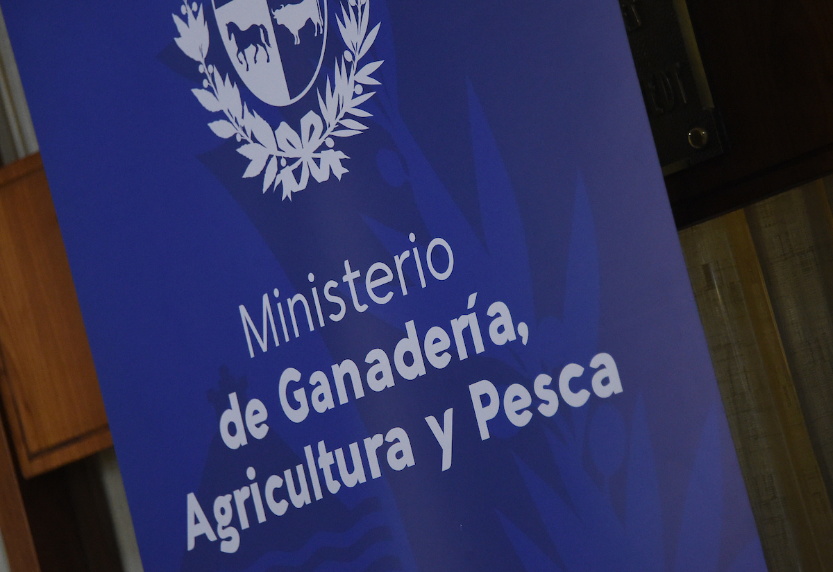 Nuevo llamado laboral del MGAP: sueldo de más de $ 90 mil por 20 horas ...