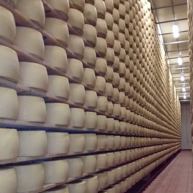 Italia: productor quesero murió aplastado por 25.000 hormas de queso