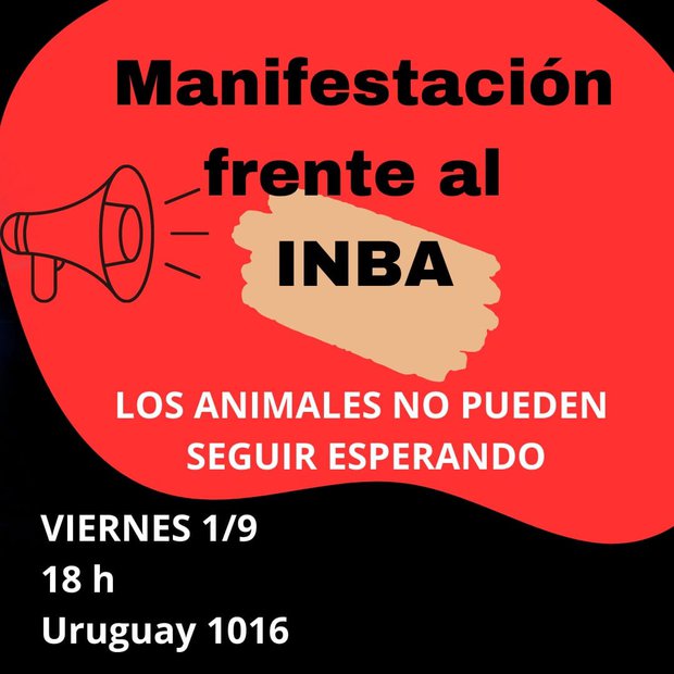 Plataforma Animalista se moviliza en el INBA: piden que no sea un instituto de ganaderos