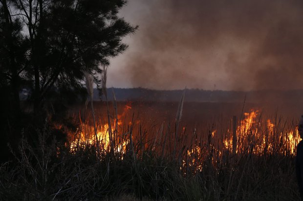 Bomberos trabaja en incendio en Laguna del Diario; logró frenar propagación a viviendas