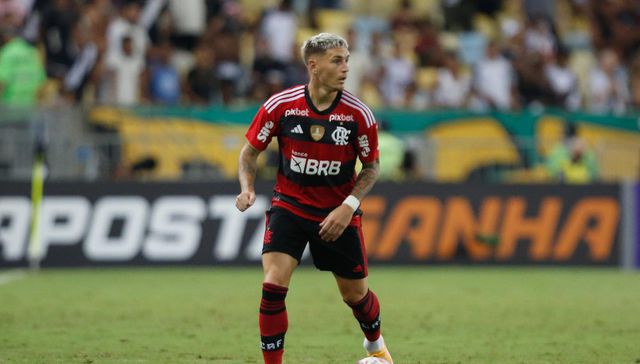 Alerta celeste