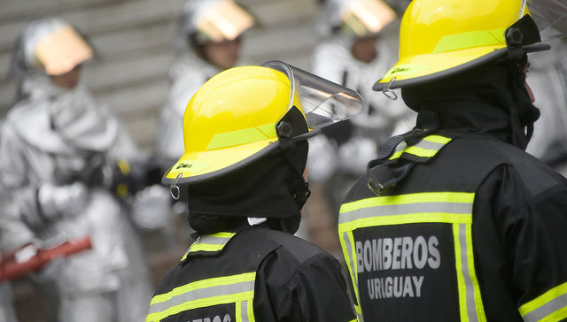 Llegaron los bomberos