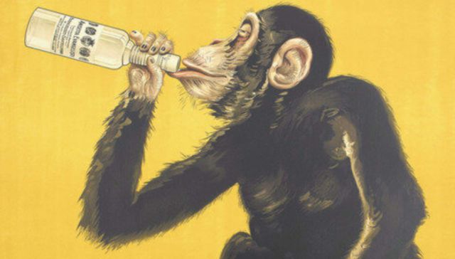 Brindo por eso