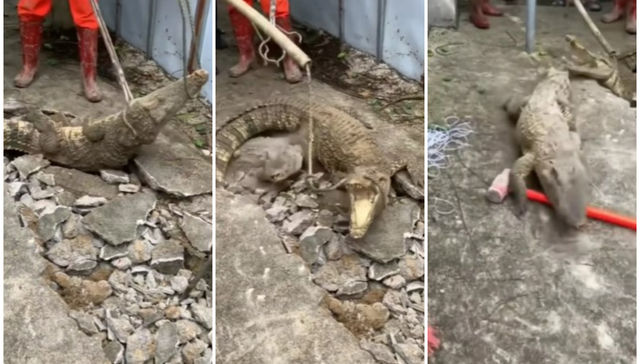 Le pregunto qué pasa por allá abajo