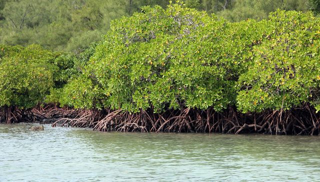 A la orilla de la catástrofe