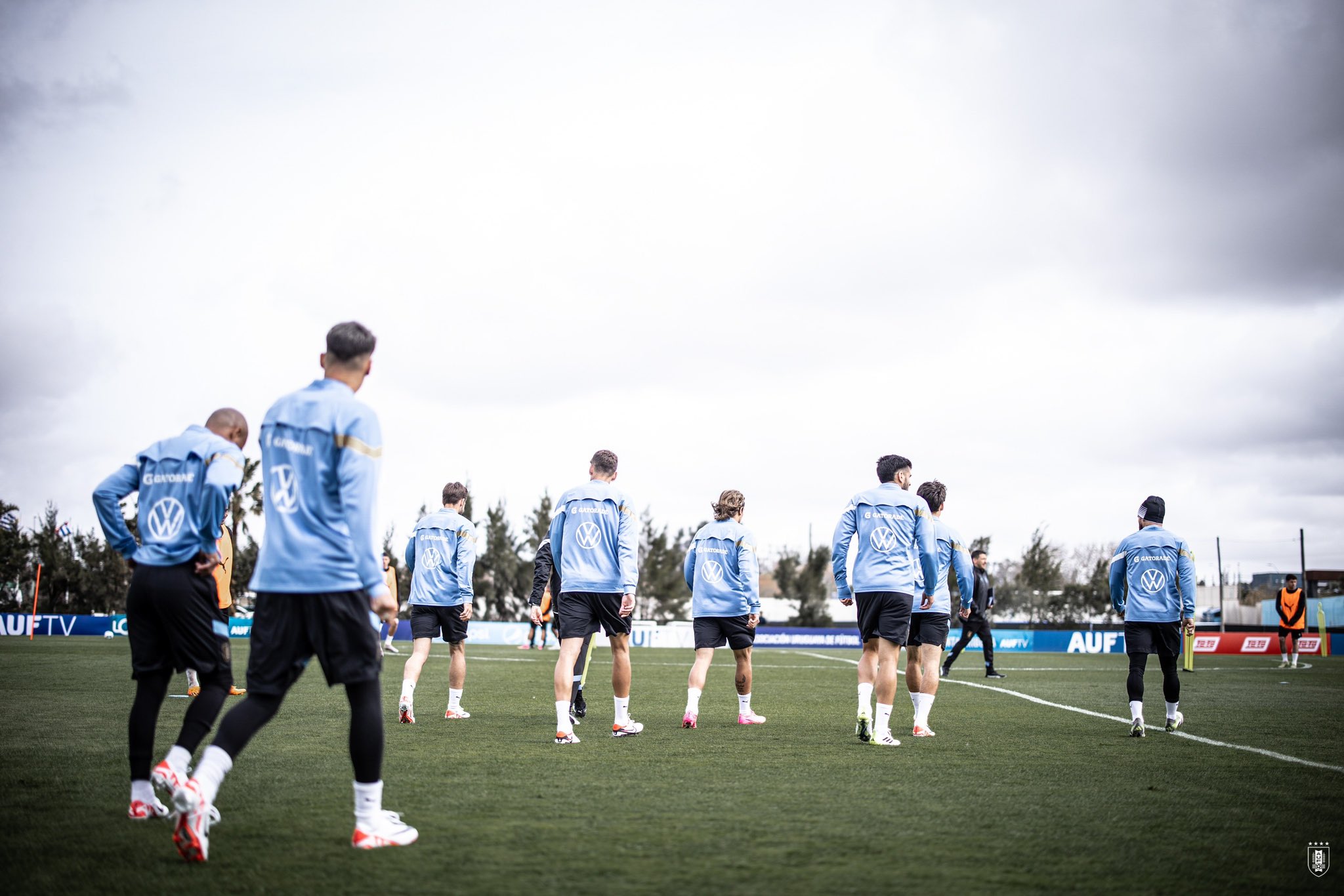 Eliminatorias: Uruguay ya entrena con la mayoría de los jugadores  preparando el debut