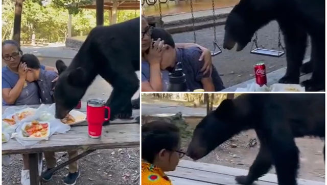 El ladrón de meriendas