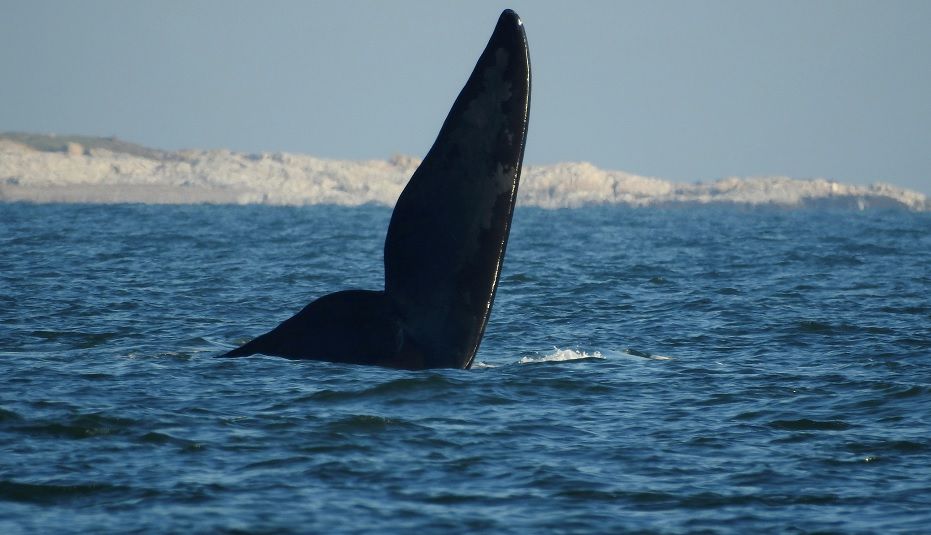 Foto: cedida a Montevideo Portal