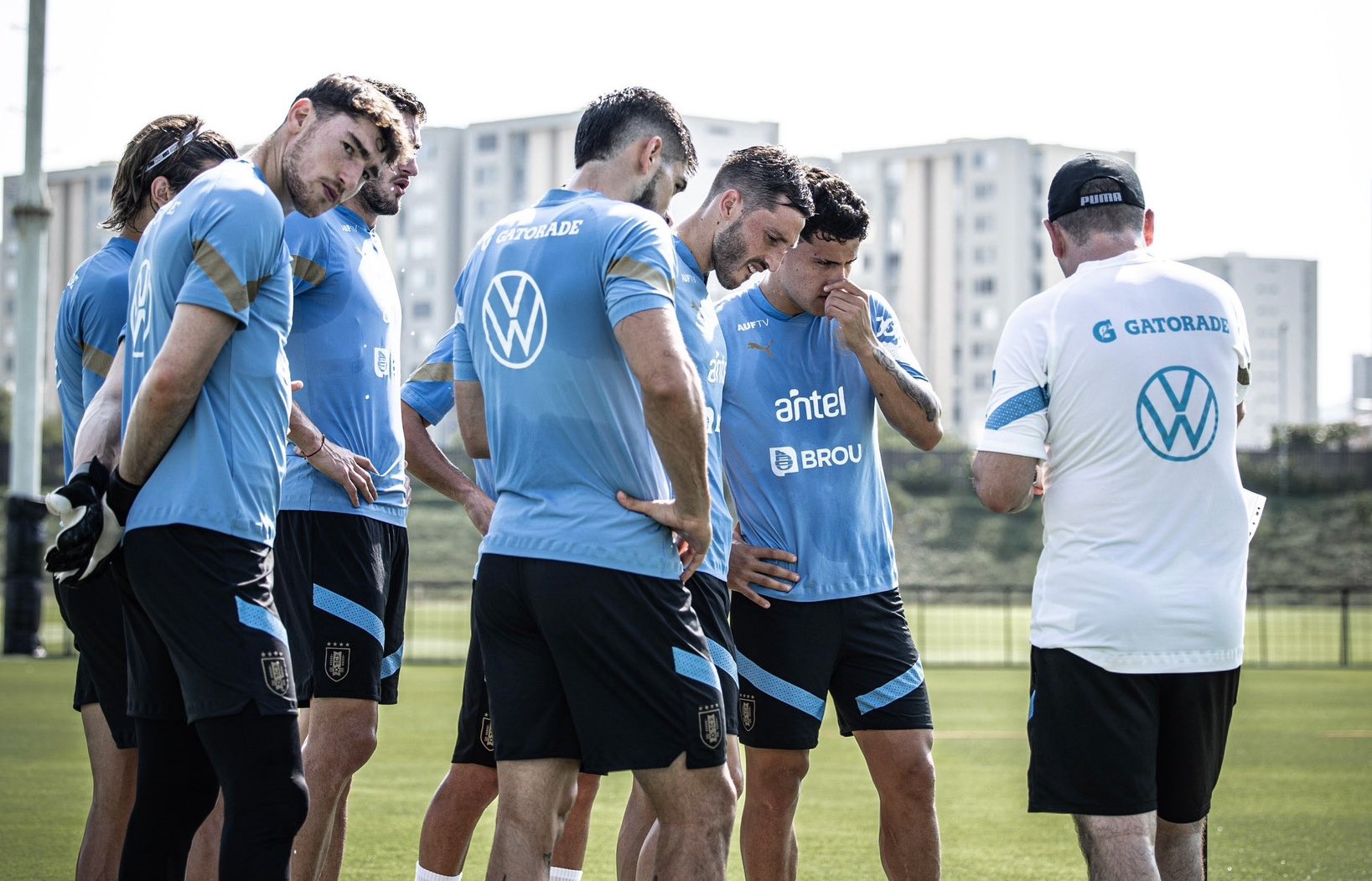 Eliminatorias: Uruguay ya entrena con la mayoría de los jugadores  preparando el debut