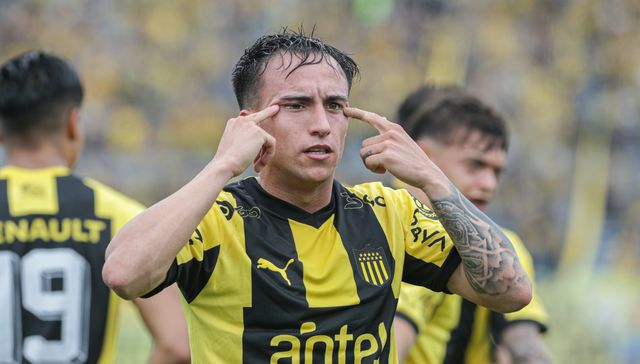 Cepillo de exportación