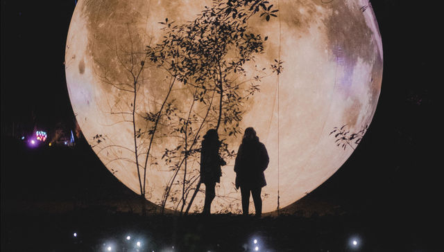 La luz de las flores