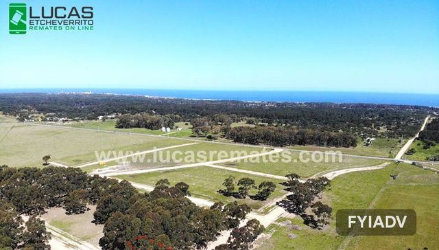 Oportunidad de inversión