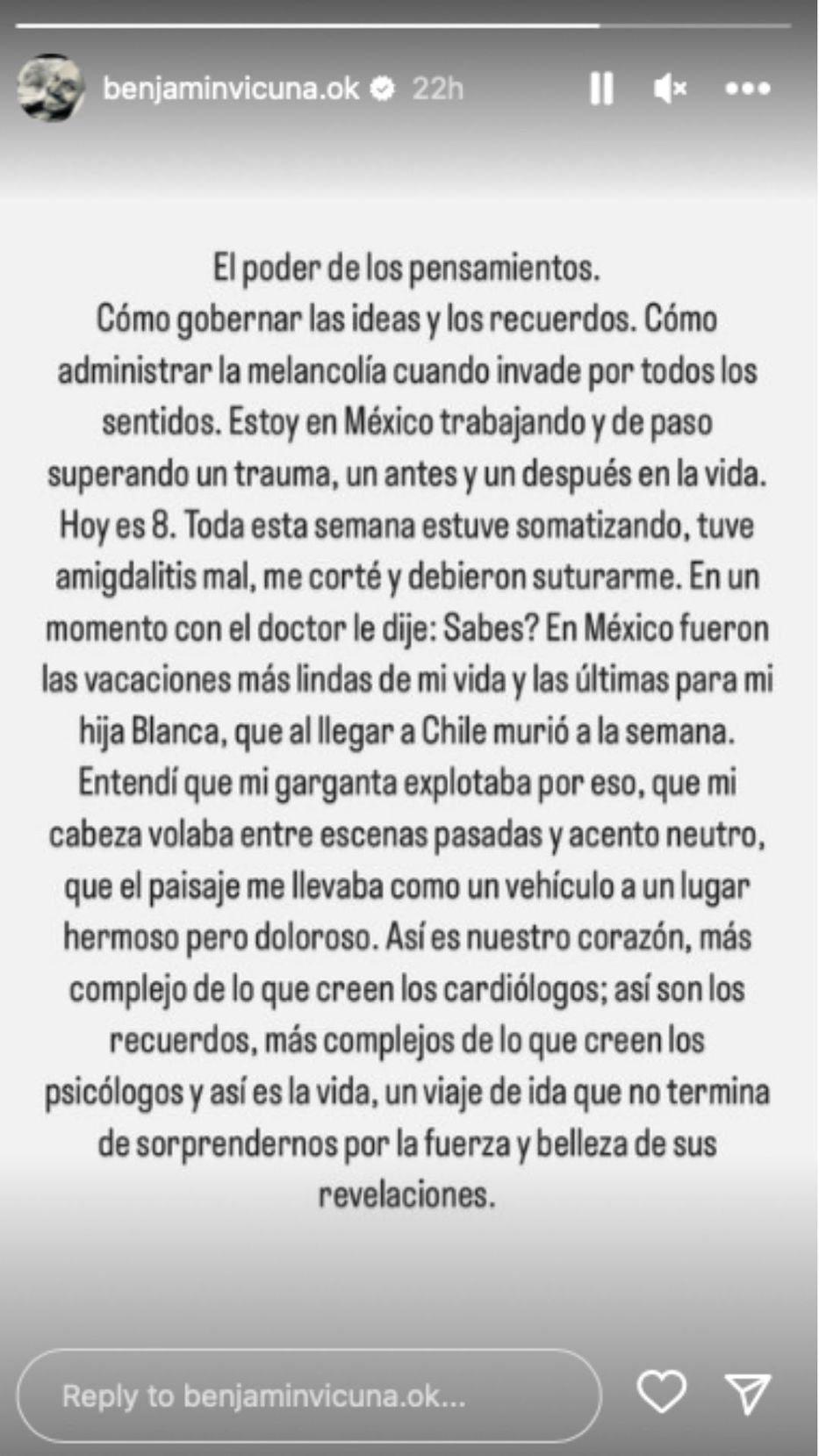 Foto: captura historias de Instagram / @benjavicuna.ok