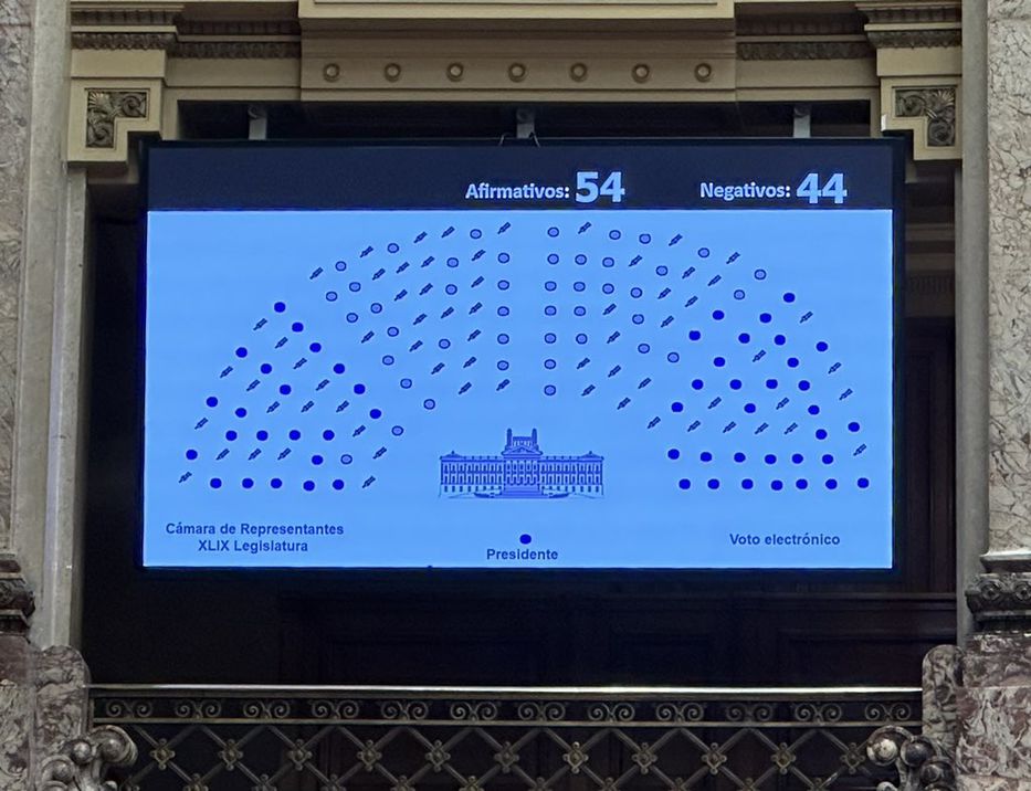 La votación en la Cámara de Diputados. Foto: Twitter.com/Fedecastretto