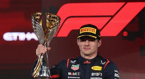 La frutilla de la torta