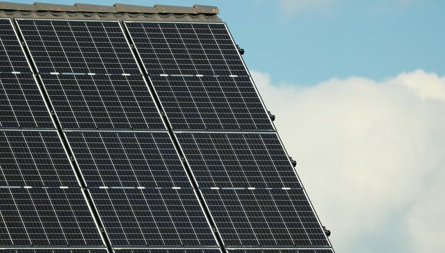 Nuevo bajo el sol