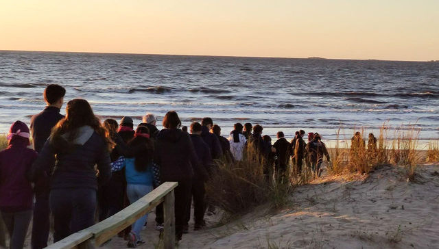 Con Rosadito Verdoso