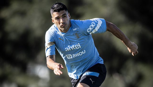 Qué placer verte otra vez