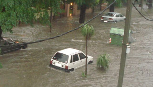 A los botes