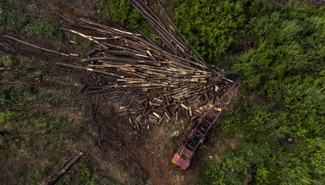 Por The New York Times