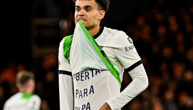 Bajo la lupa