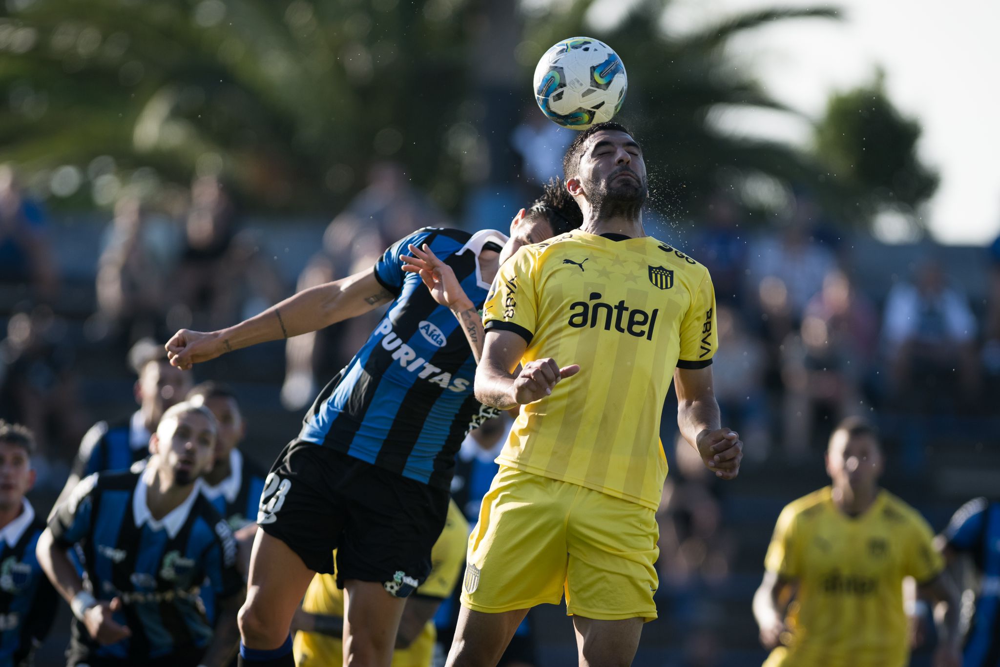 Definición del Campeonato Uruguayo 2023: la segunda final será el sábado a  las 19 horas en el Campeón del Siglo 