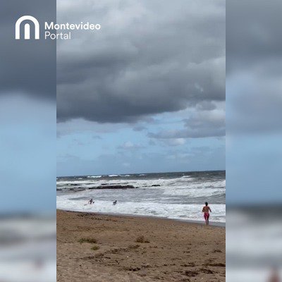 Guardavidas de La Paloma rescataron a surfista que no podía volver a orilla: mirá el video