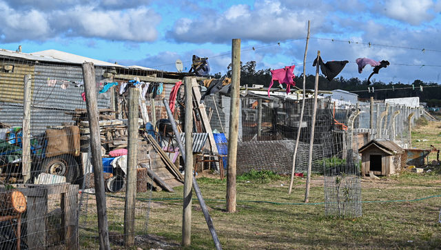 Bueyes perdidos y encontrados